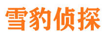 大东市婚外情调查